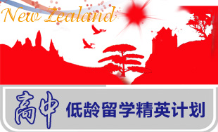 新西兰中学