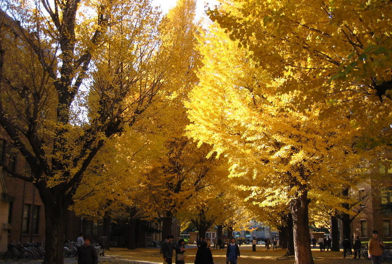 东京大学